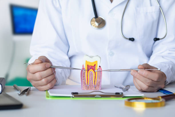 Best Emergency Dental Care for Abscessed Tooth in Dorneyville, PA